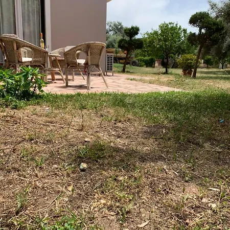 Niki's Apartment